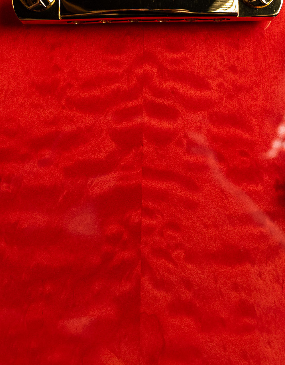 Электрогитара Aion E-50 Red - купить в "Гитарном Клубе"