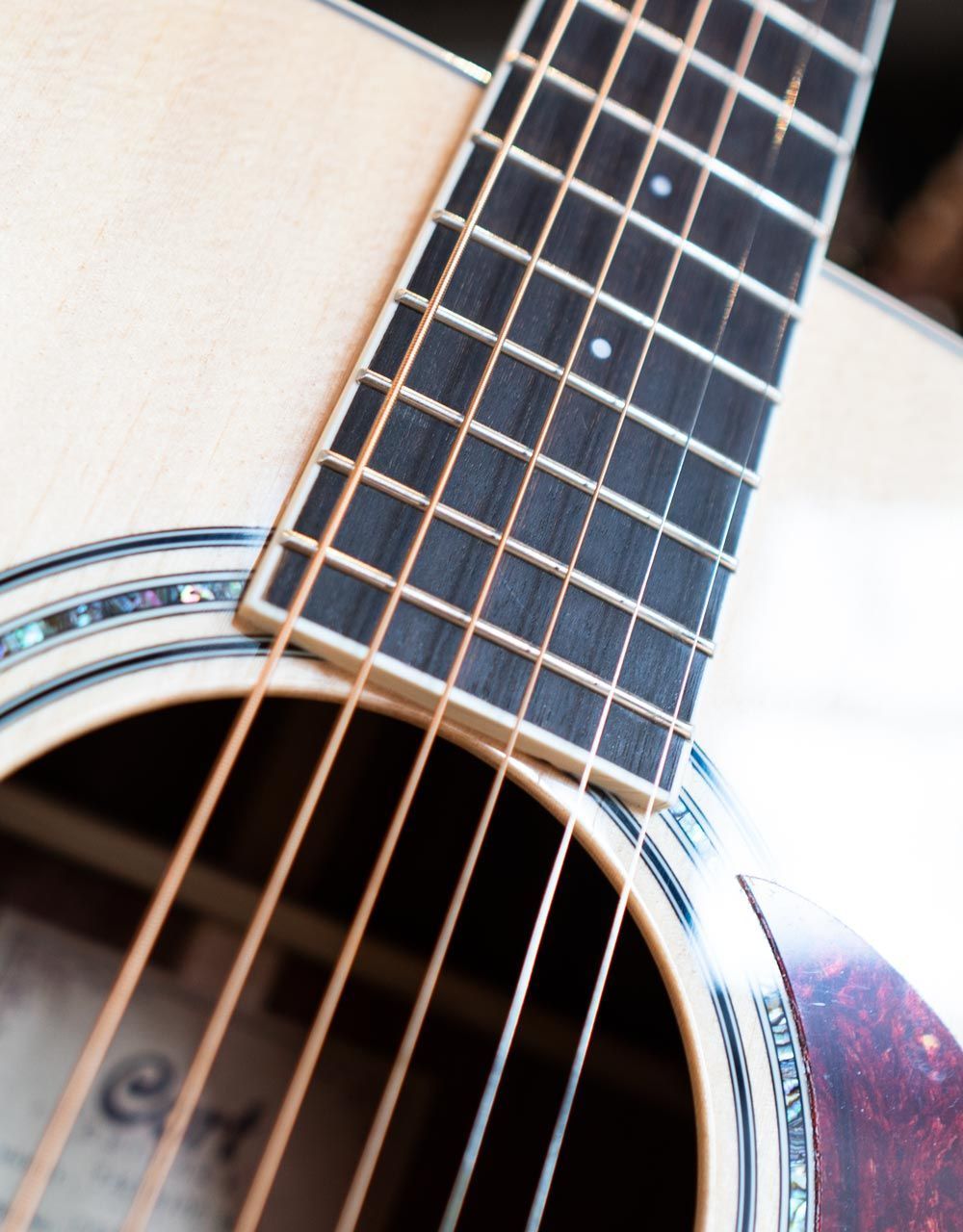 Акустическая гитара Cort Earth 100-NAT - купить в "Гитарном Клубе"