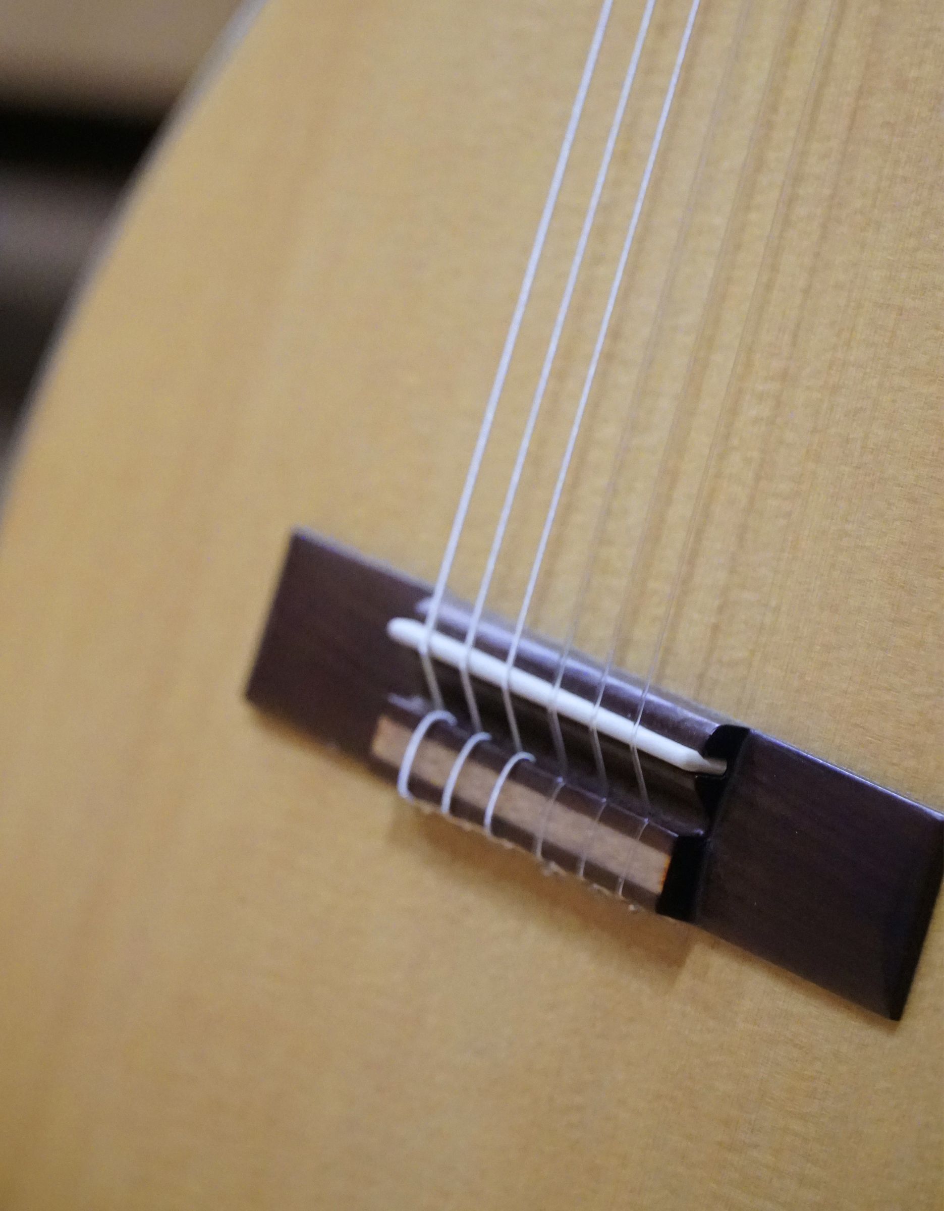 Классическая гитара Ortega R121-4/4 - купить в "Гитарном Клубе"