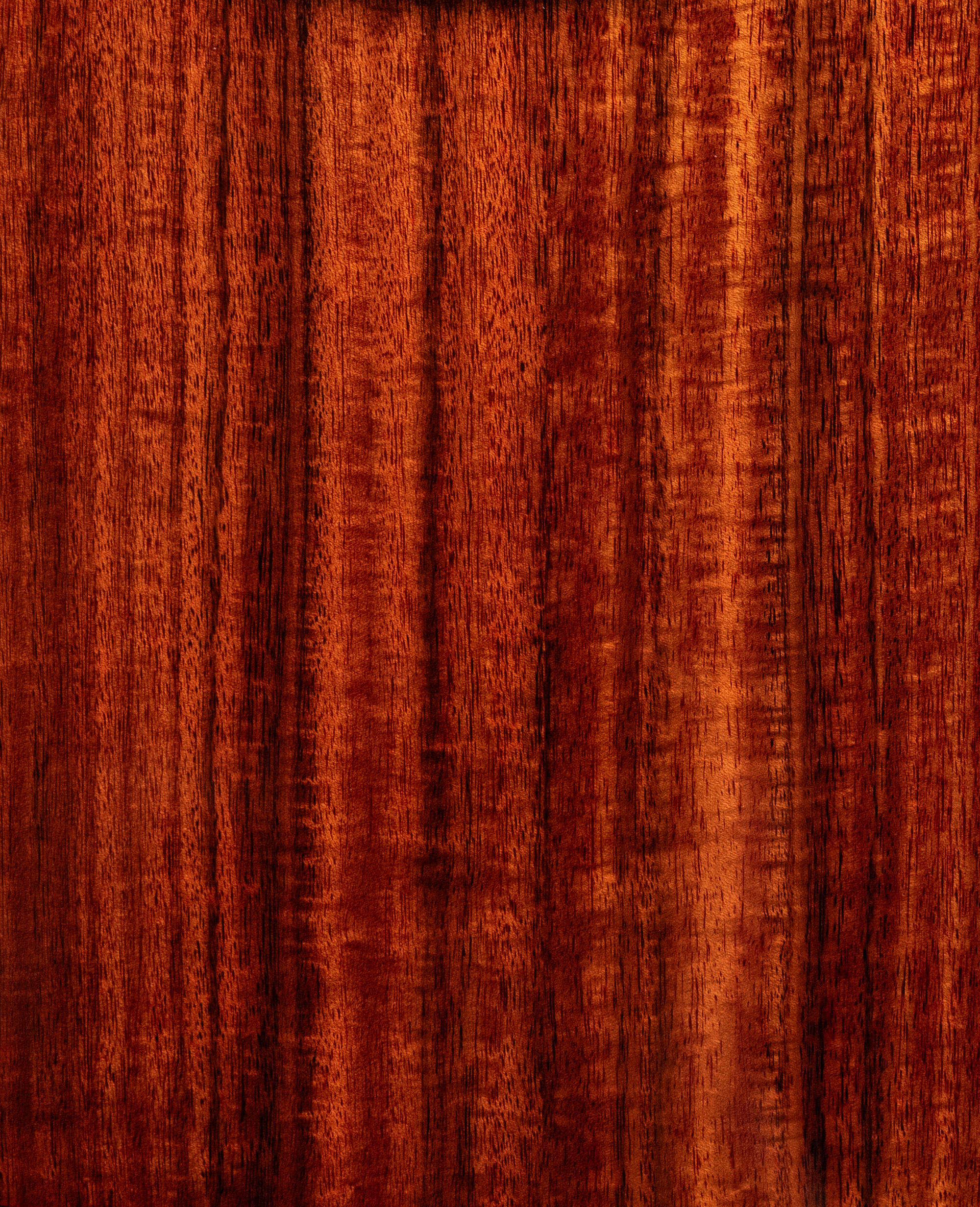 Электроакустическая гитара Ovation CE44P-FKOA Celebrity Elite Plus Mid Cutaway Natural Figured - купить в "Гитарном Клубе"