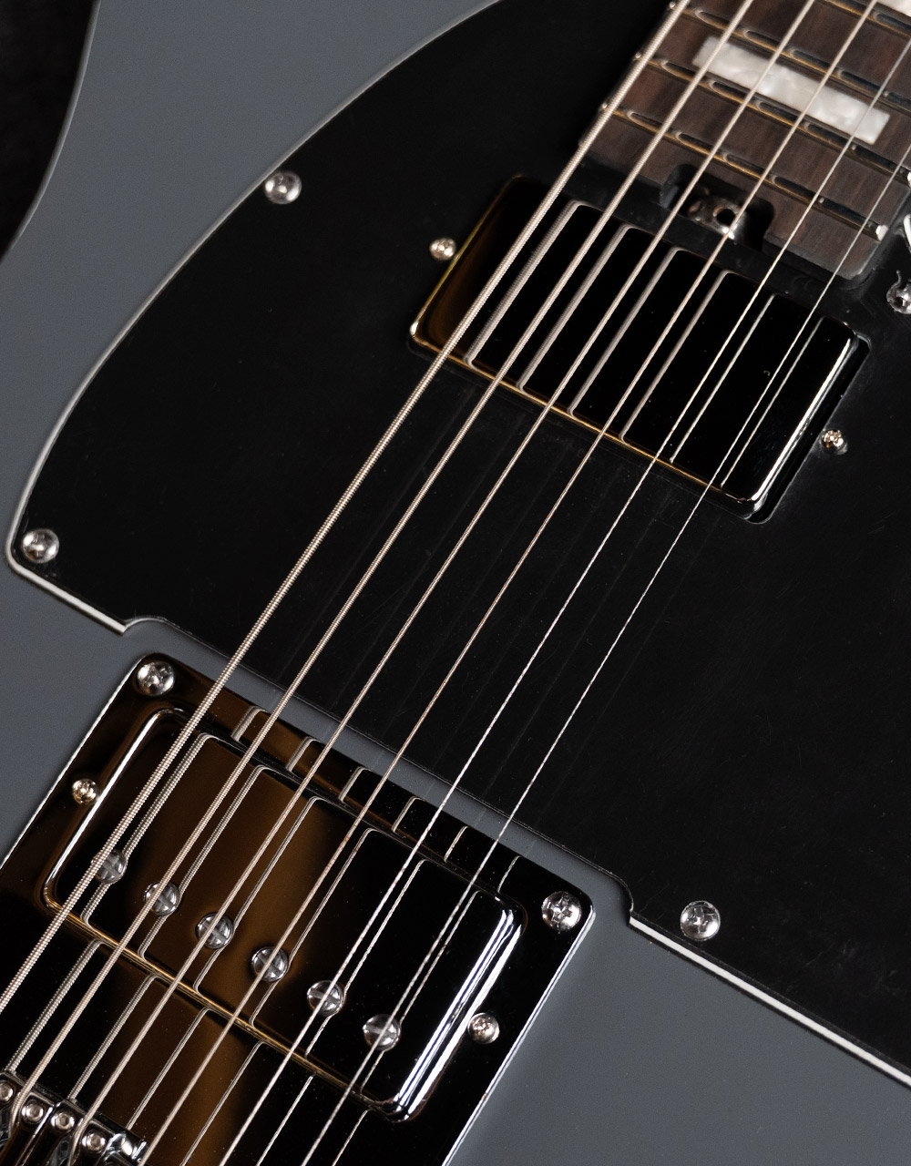 Электрогитара Schecter Pt Ex Dorian Gray - купить в "Гитарном Клубе"