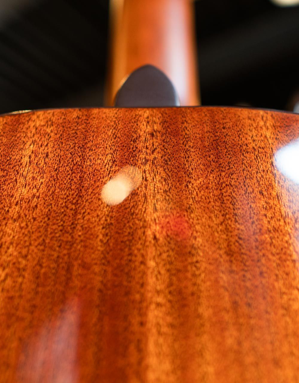 Классическая гитара Cort AC200-NAT - купить в "Гитарном Клубе"