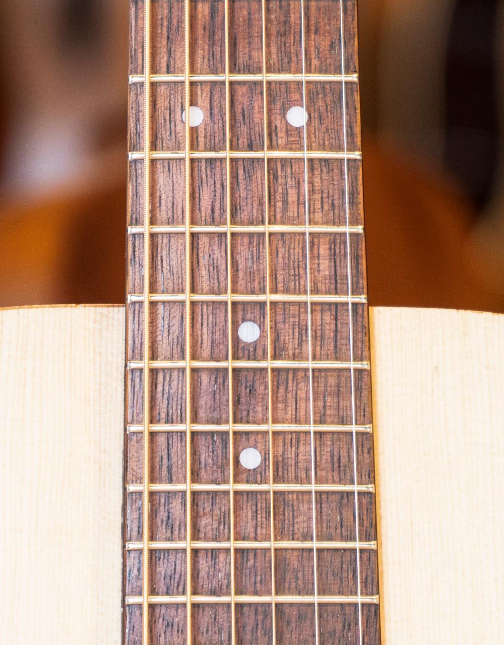 Акустическая гитара Ditson G-10 - купить в "Гитарном Клубе"