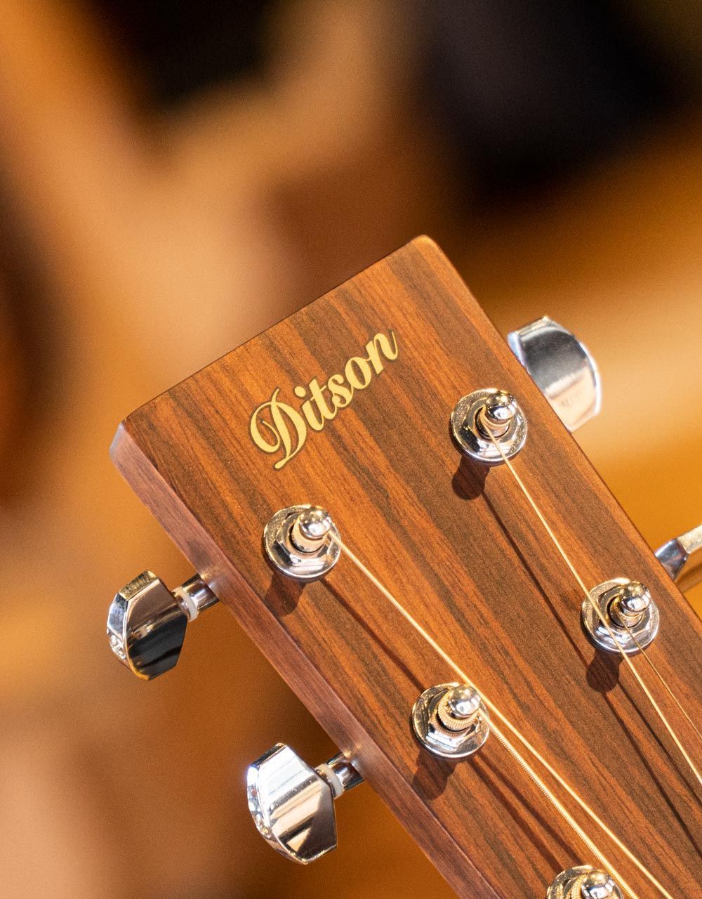 Акустическая гитара Ditson G-10 - купить в "Гитарном Клубе"