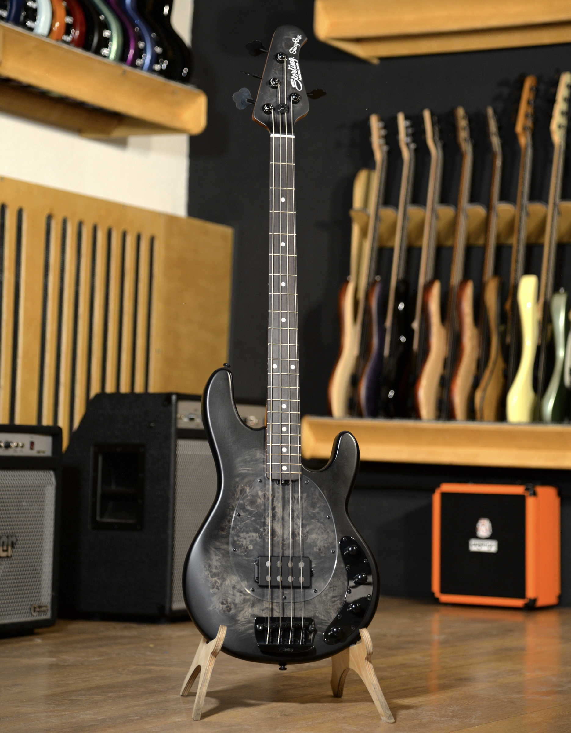 Бас-гитара Sterling StingRay RAY34PB HH Poplar Burl Top Trans Black - купить в "Гитарном Клубе"