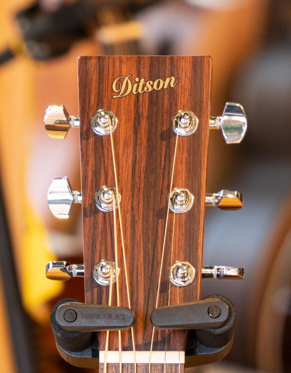 Акустическая гитара Ditson G-10 - купить в "Гитарном Клубе"