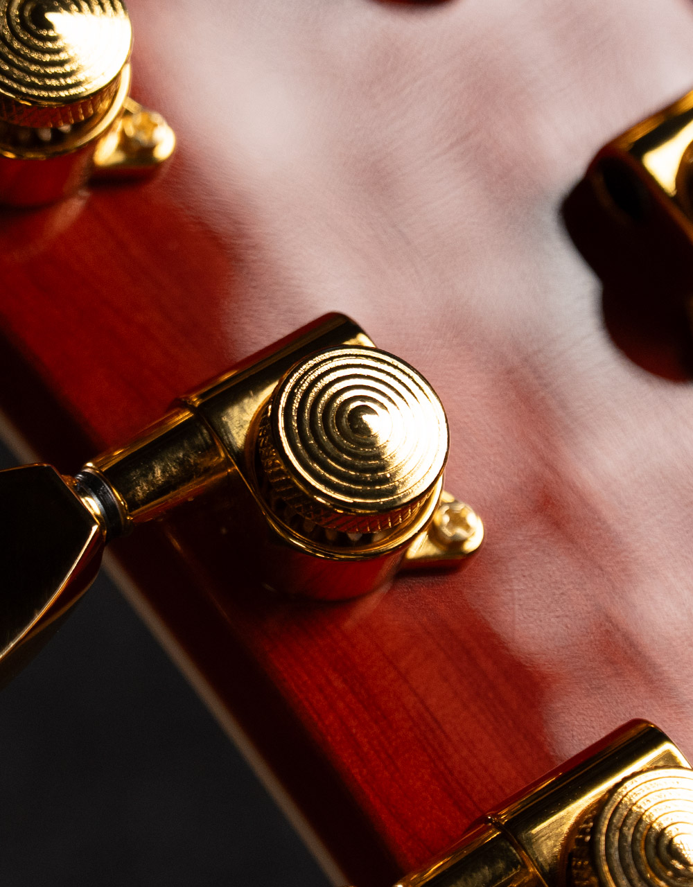 Электрогитара Aion E-50 Red - купить в "Гитарном Клубе"