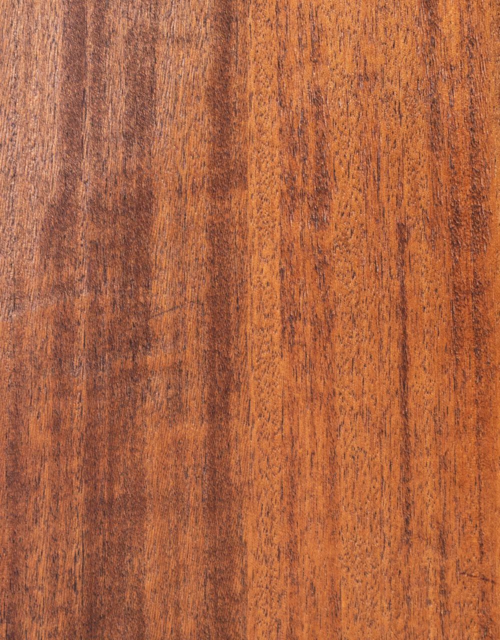 Акустическая гитара Ditson G-10 - купить в "Гитарном Клубе"