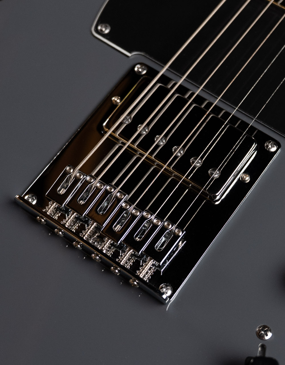 Электрогитара Schecter Pt Ex Dorian Gray - купить в "Гитарном Клубе"