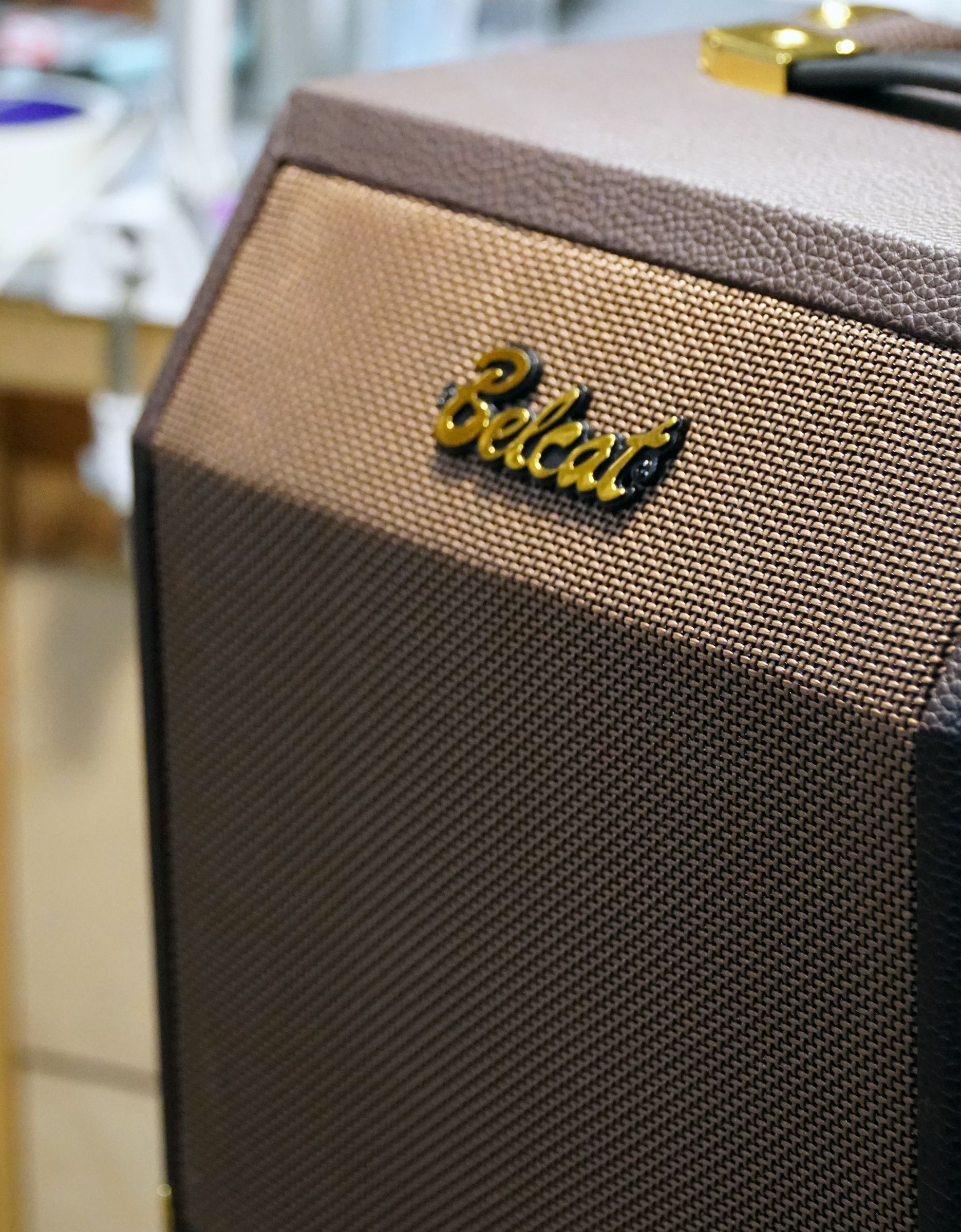 Комбоусилитель для акустической гитары Belcat Acoustic-15C, 15Вт - купить в "Гитарном Клубе"
