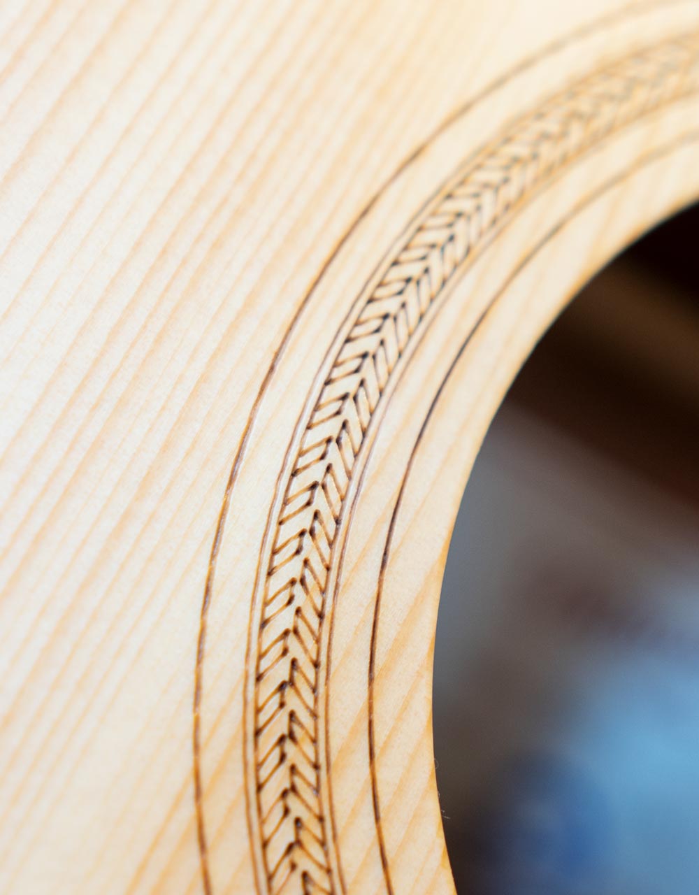 Акустическая гитара Ditson D-10 - купить в "Гитарном Клубе"