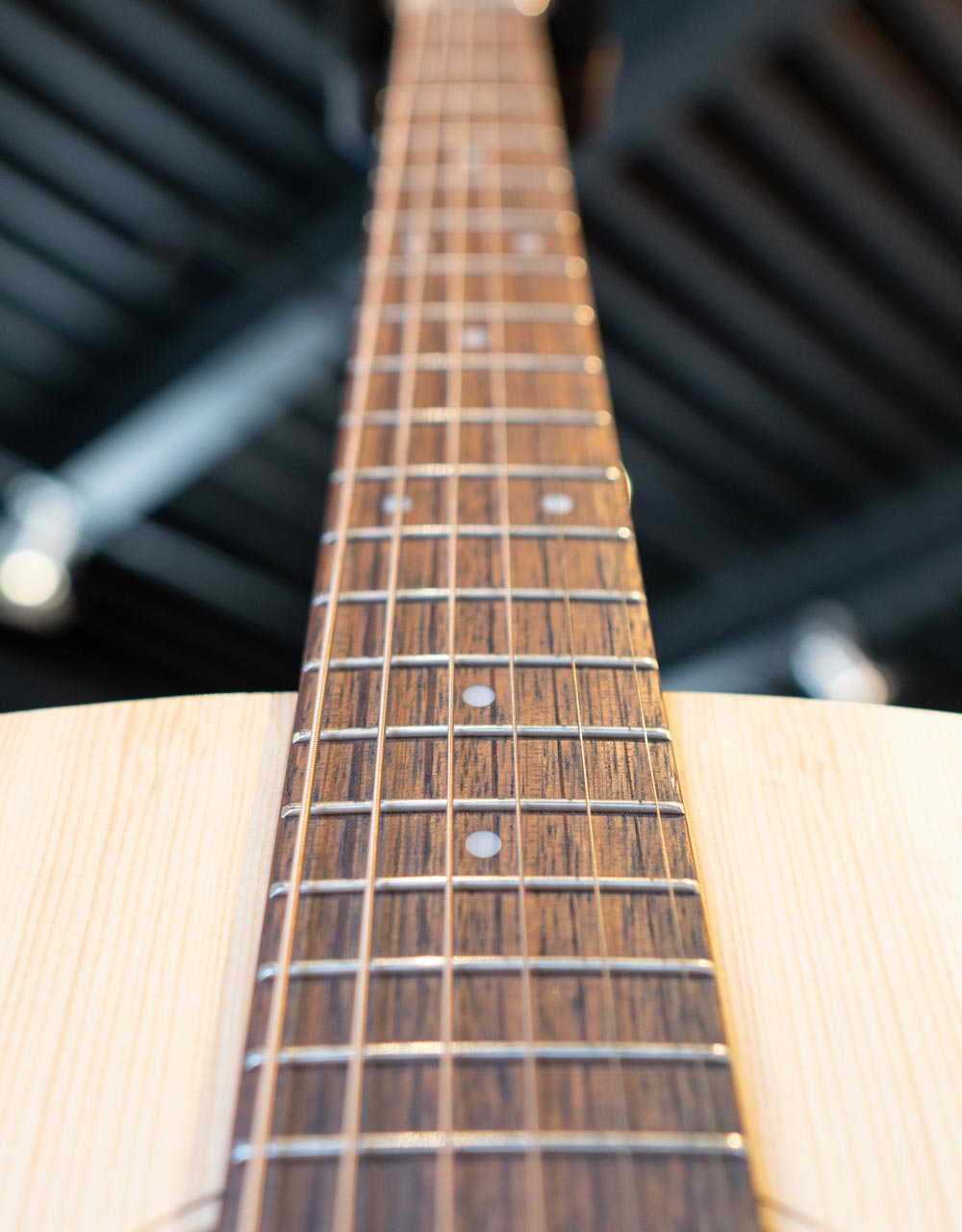 Акустическая гитара Ditson D-10 - купить в "Гитарном Клубе"