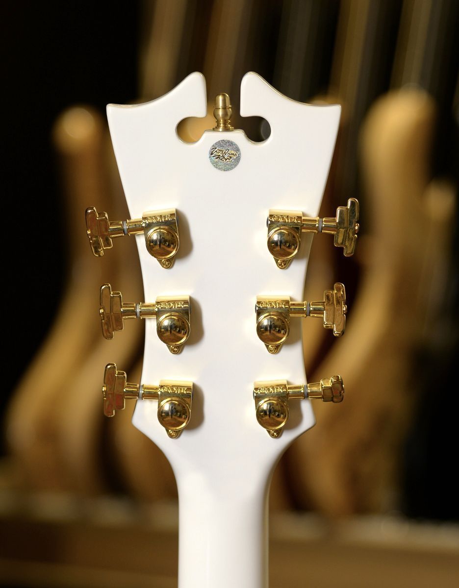 Полуакустическая гитара D