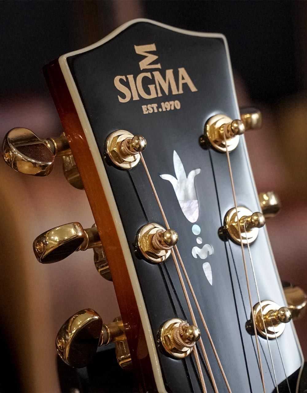 Электроакустическая гитара Sigma SGJA-SG200 - купить в "Гитарном Клубе"