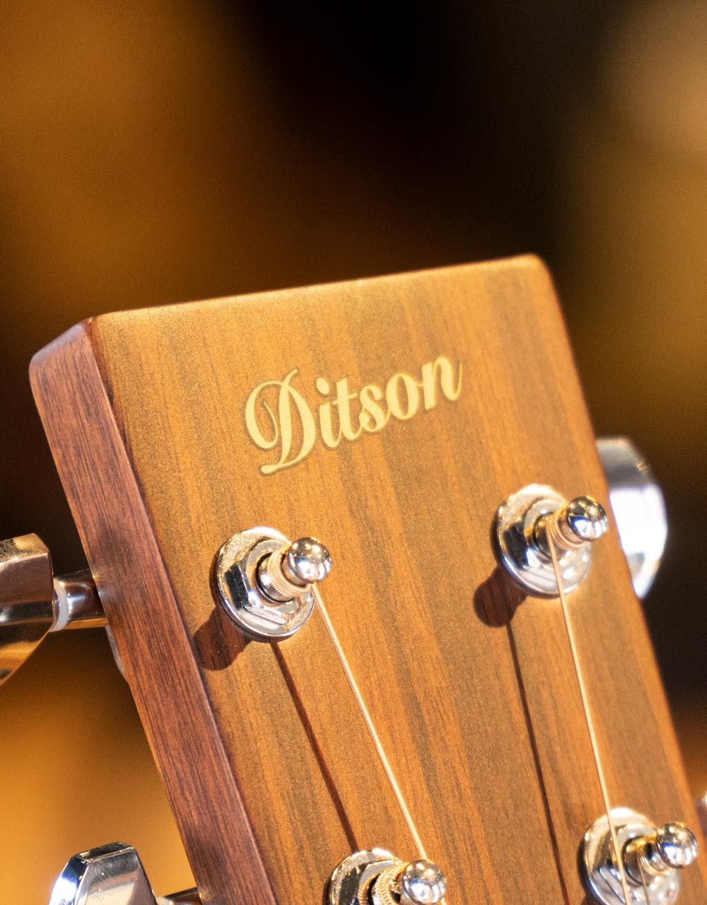 Акустическая гитара Ditson G-10 - купить в "Гитарном Клубе"