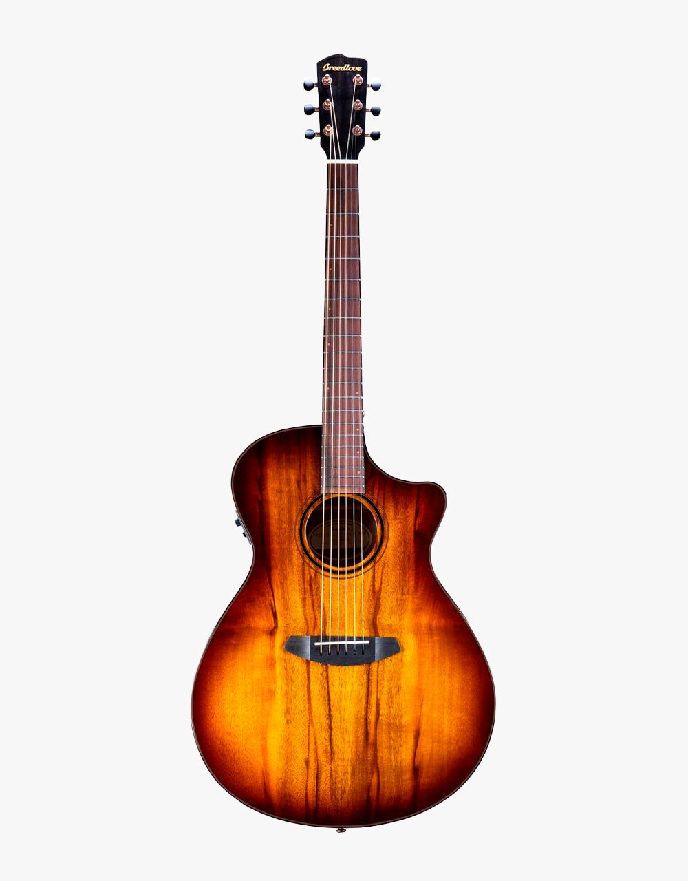 Электроакустическая гитара Breedlove Pursuit Exotic S Concerto Tiger