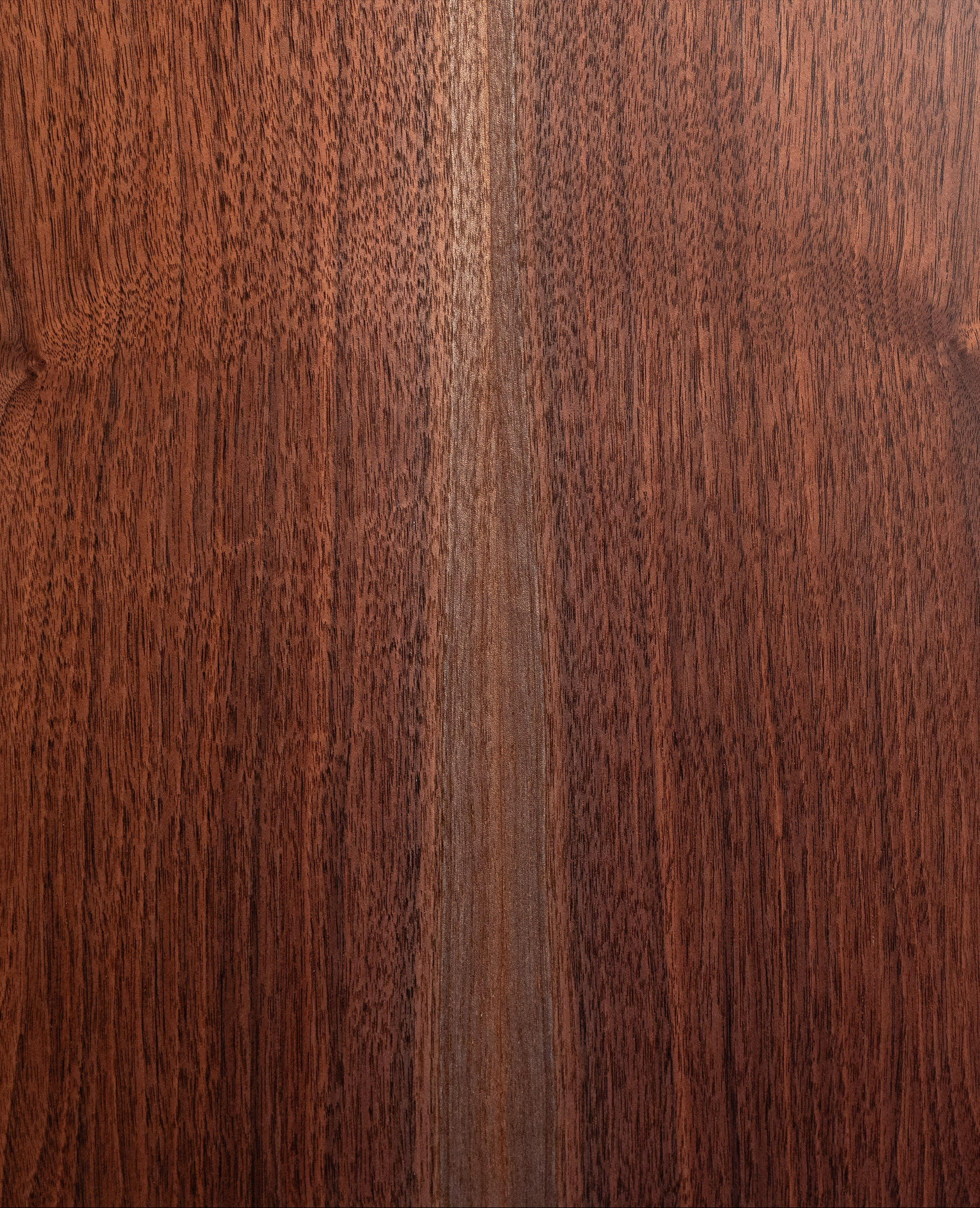 Акустическая гитара Furch Blue D-SW - купить в "Гитарном Клубе"