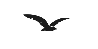 Seagull