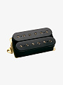 Гитарный звукосниматель DiMarzio DP101BK Dual Sound, Bridge - купить в "Гитарном Клубе"