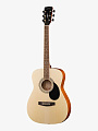 Электроакустическая гитара Parkwood PF51E-WBAG-OP - купить в "Гитарном Клубе"