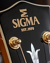Электроакустическая гитара Sigma SGJA-SG200 - купить в "Гитарном Клубе"
