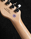 Электрогитара G&L Limited Run ASAT Classic Thinline, Autumn Burst CR - купить в "Гитарном Клубе"