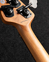 Бас-гитара Sterling StingRay RAY34PB, Poplar Burl Top, Dark Scarlet Burst Satin - купить в "Гитарном Клубе"