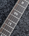 Электрогитара Schecter Pt Sls Elite Evil Twin - купить в "Гитарном Клубе"