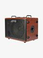  Комбоусилитель для акустической гитары Joyo BSK-80, 80Вт							 - купить в "Гитарном Клубе"