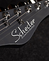 Электрогитара Schecter Pt Ex Dorian Gray - купить в "Гитарном Клубе"