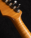 Электрогитара Fender Custom Shop Masterbuilt Greg Fessler 