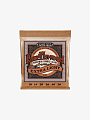 Струны для акустической гитары Ernie Ball 2150 Earthwood, 10-50 - купить в "Гитарном Клубе"