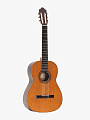 Классическая гитара Esteve 1 CD Satin - купить в "Гитарном Клубе"