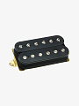 Гитарный звукосниматель DiMarzio DP103FBK PAF 36th anniversary F-Spaced - купить в "Гитарном Клубе"