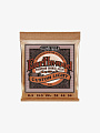 Струны для акустической гитары Ernie Ball 2145 Earthwood Phosphor Bronze, 11,5-54 - купить в "Гитарном Клубе"