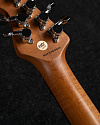 Электрогитара Sterling Luke Signature Hazel Burst - купить в "Гитарном Клубе"