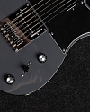 Электрогитара Schecter Pt Ex Dorian Gray - купить в "Гитарном Клубе"