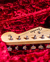 Электрогитара Fender American Original 