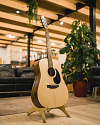 Акустическая гитара Ditson D-10 - купить в "Гитарном Клубе"