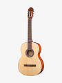 Классическая гитара Parkwood PC90-WBAG-OP - купить в "Гитарном Клубе"