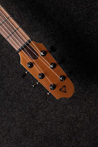 Электрогитара Covenant I-STD 100 gold - купить в "Гитарном Клубе"