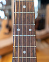 Акустическая гитара Ditson D-10 - купить в "Гитарном Клубе"