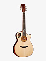 Электроакустическая гитара Cort Roselyn LE Masterpiece Series - купить в "Гитарном Клубе"