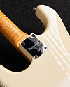 Электрогитара Fender Custom Shop Masterbuilt Greg Fessler 