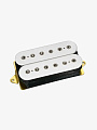 Гитарный звукосниматель DiMarzio DP100W Super Distortion, Bridge - купить в "Гитарном Клубе"