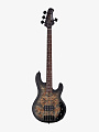 Бас-гитара Sterling StingRay RAY34PB HH Poplar Burl Top Trans Black - купить в "Гитарном Клубе"