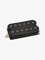 Гитарный звукосниматель DiMarzio DP244BK Dominion, Neck - купить в "Гитарном Клубе"