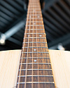 Акустическая гитара Ditson D-10 - купить в "Гитарном Клубе"