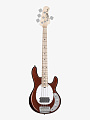 Бас-гитара Sterling Rayss4-M1 Short Scale Dropped Copper - купить в "Гитарном Клубе"