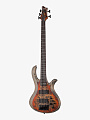 Бас-гитара Schecter Riot-5 Inferno Burst - купить в "Гитарном Клубе"